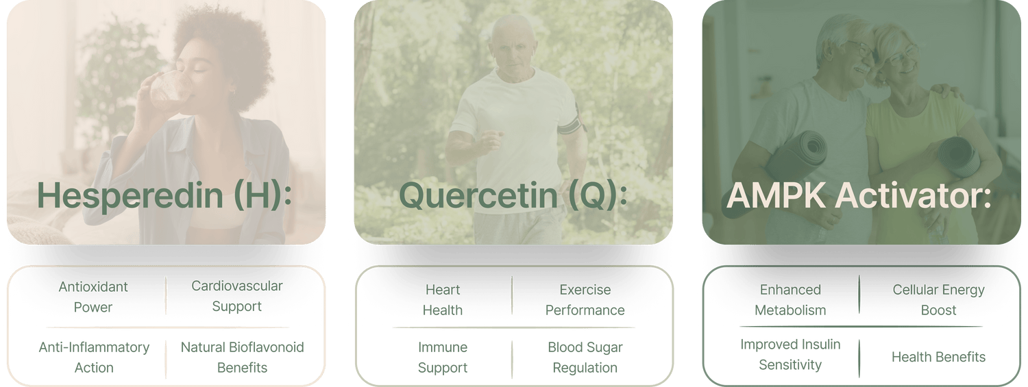 The Incredible Benefits of Hesperidin: A Citrus Powerhouse for Your Health - Earth Treasure Nutrition