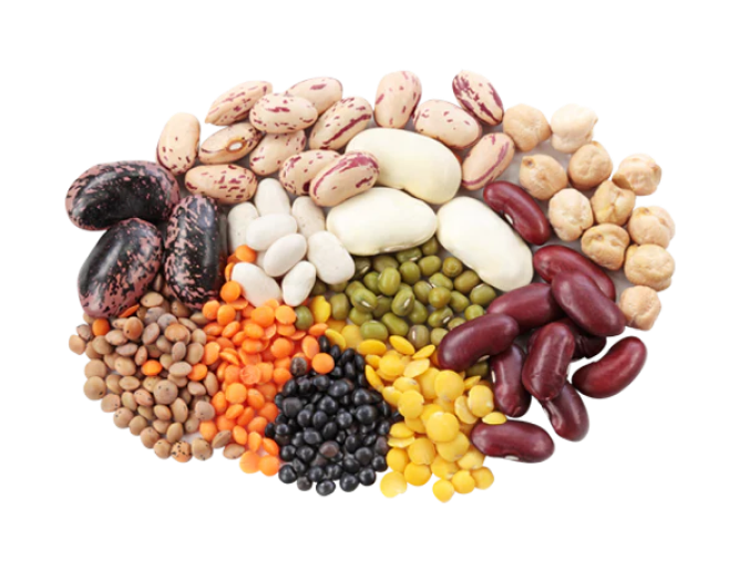 Riboflavin (Vitamin B2)
