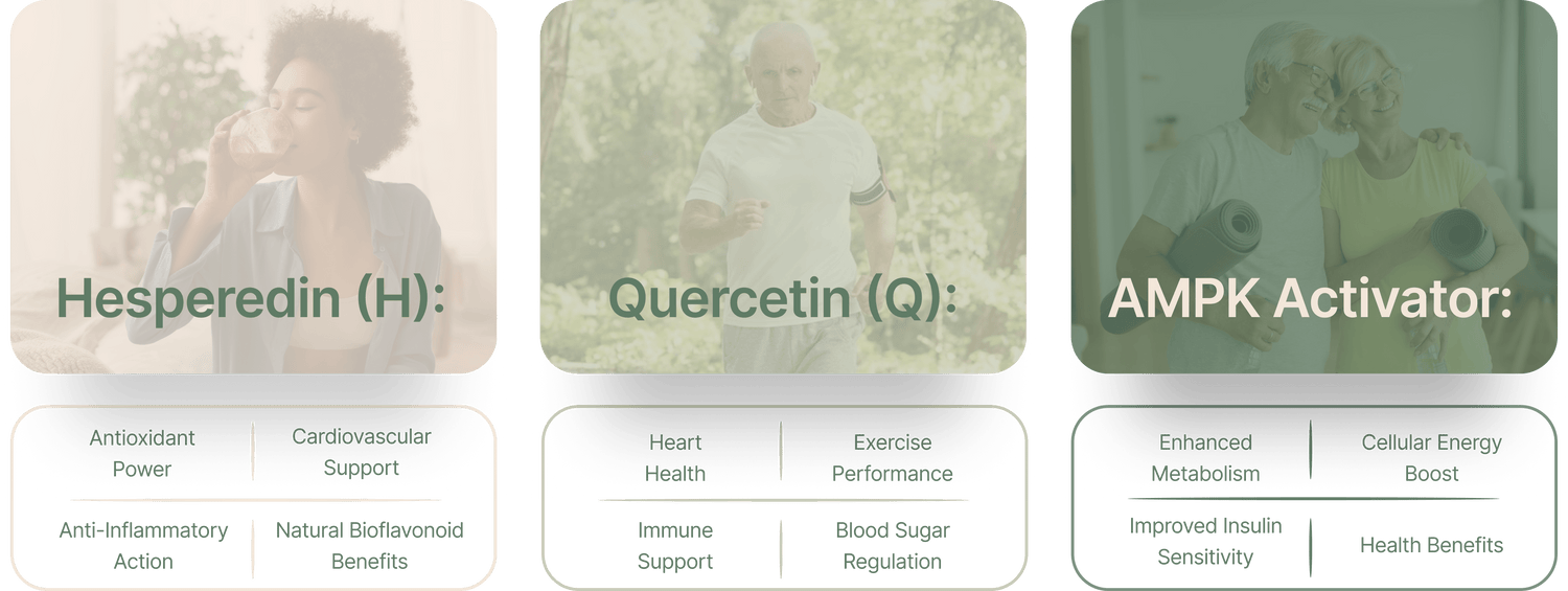 The Incredible Benefits of Hesperidin: A Citrus Powerhouse for Your Health - Earth Treasure Nutrition